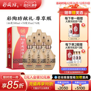 酒 纯粮特价 仰韶彩陶坊献礼白酒整箱6瓶单瓶535ml礼盒装 尊享PLUS版