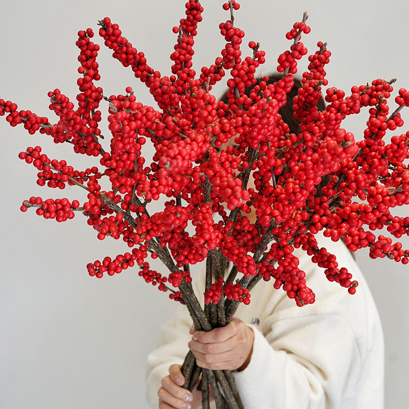 北美冬青鲜切枝发财果红果真花年宵花卉室内水养植物绿植水培鲜花