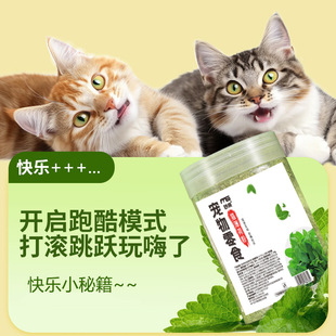 可食用猫薄荷260ml植物细粉可填充猫玩具猫零食成猫通用 猫薄荷粉