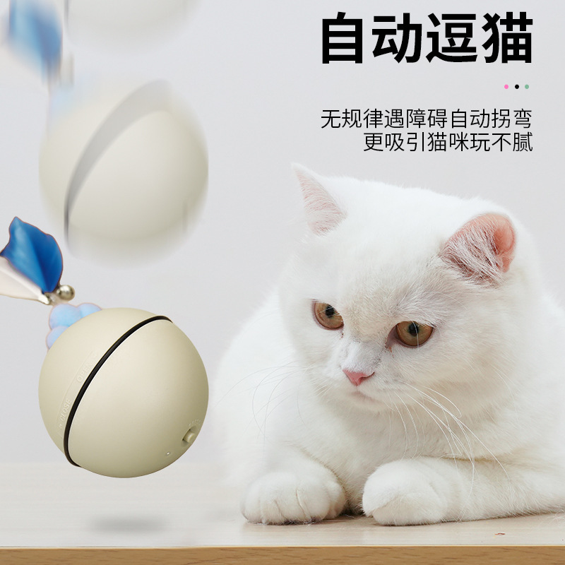 智能电动逗猫球自嗨玩具