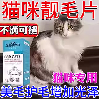 猫咪掉毛吃什么防止猫脱毛猫咪掉毛脱毛严重鱼油卵磷脂护毛维生素