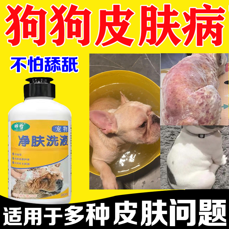 狗狗皮肤病专用净肤洗液狗癣皮炎瘙痒细菌性真菌感染泡澡沐浴洗液