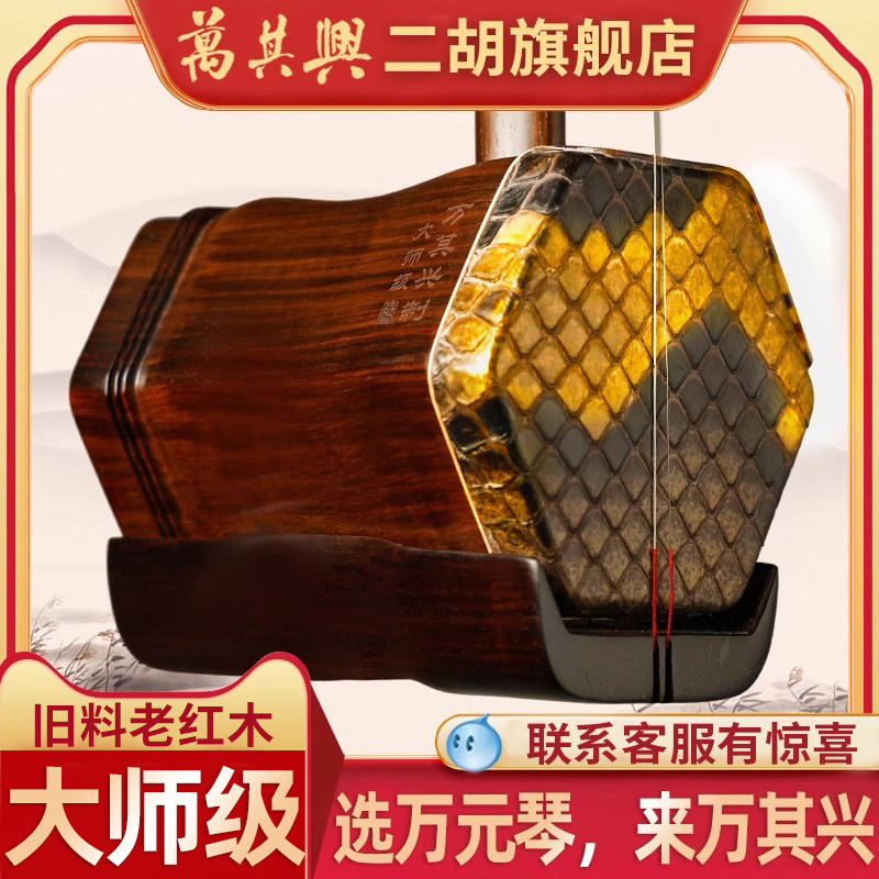 大师级二胡万其兴专业高级