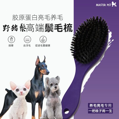 金派滋野猪鬃毛短毛犬猫柄梳亮毛