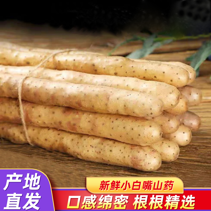 赫杰哥铁棍山药产地直供