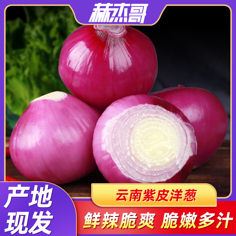 云南紫皮小洋葱新鲜9斤圆葱大凉山洋葱蔬菜红皮特产农家