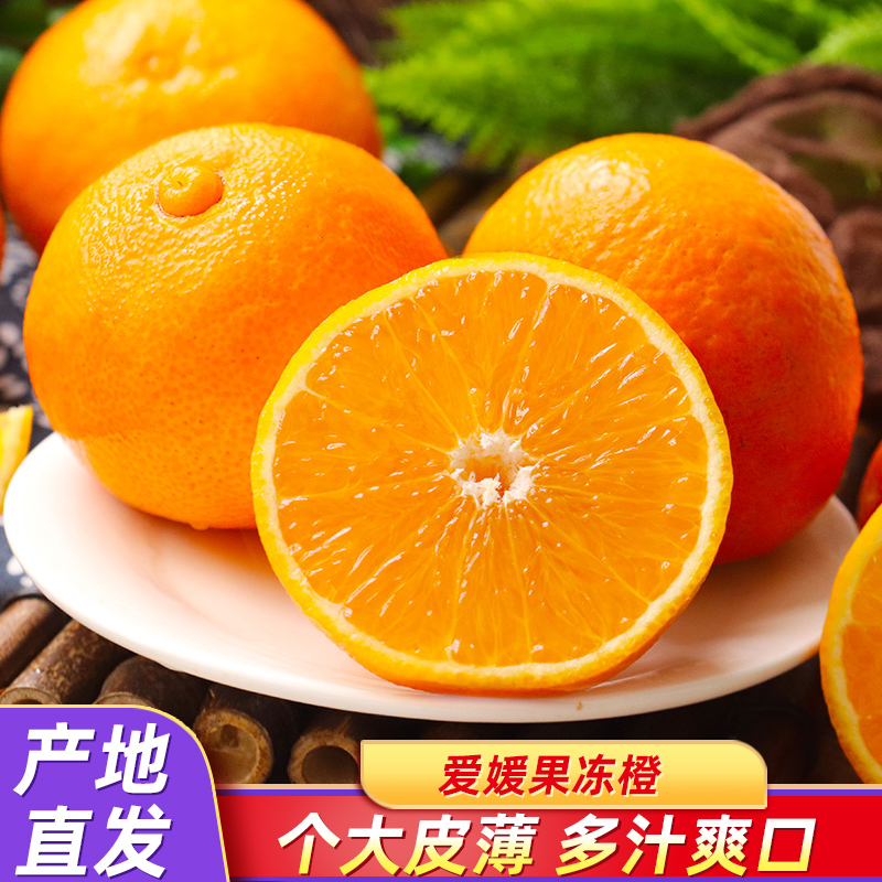 果冻橙子当季水果新鲜柑橘