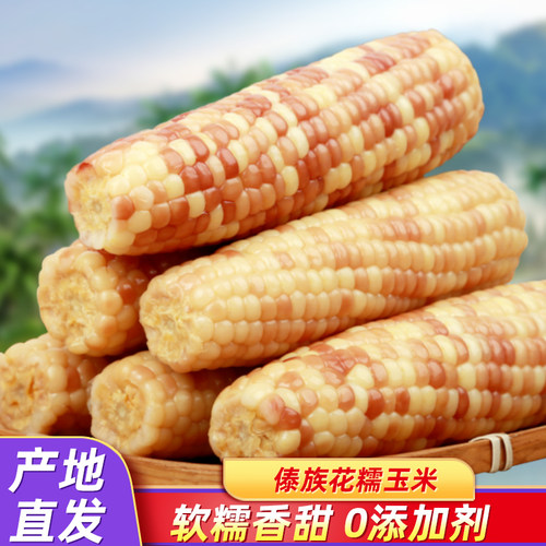 云南西双版纳拇指小花糯玉米新鲜手指香糯玉米黏早餐真空甜玉米