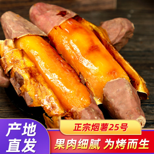 山东烟薯25号新鲜农家蜜薯