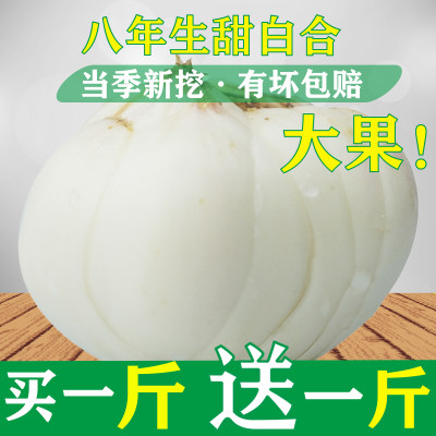 甘肃兰州特产甜百合八年生三头皇500g特级大果新鲜非干货食用无硫