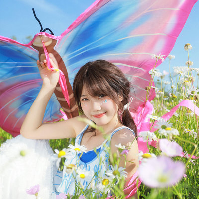 被这只蝴蝶风筝美到失语！