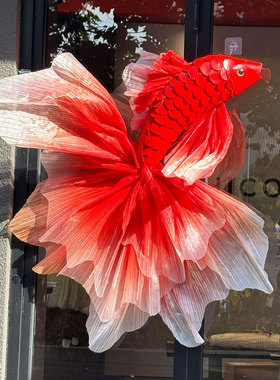 6G过年！新年锦鲤2026春节过年店铺橱窗装饰喜庆氛围拍照打卡道具