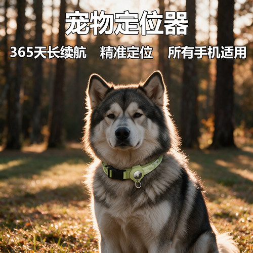 宠物定位器猫咪狗狗gps追跟踪器