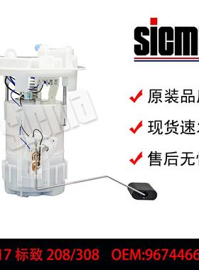 适用于标致208/3089674466680EFM1290830A全新燃油泵总成