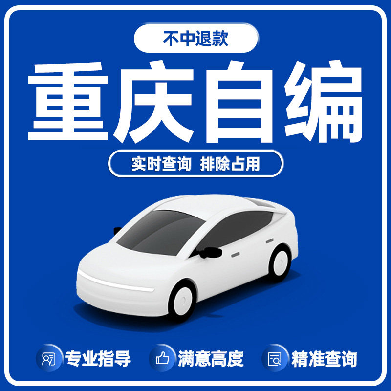 重庆车牌选号12123查询排除其它服务