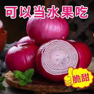 水果洋葱生吃新鲜当季蔬菜美味可口脆嫩