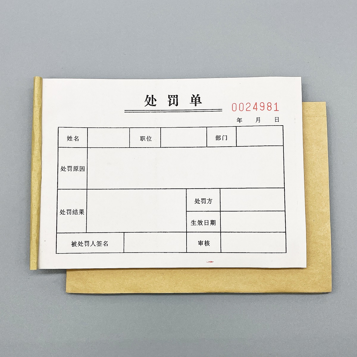 公司单位人事部门处罚单罚款单据