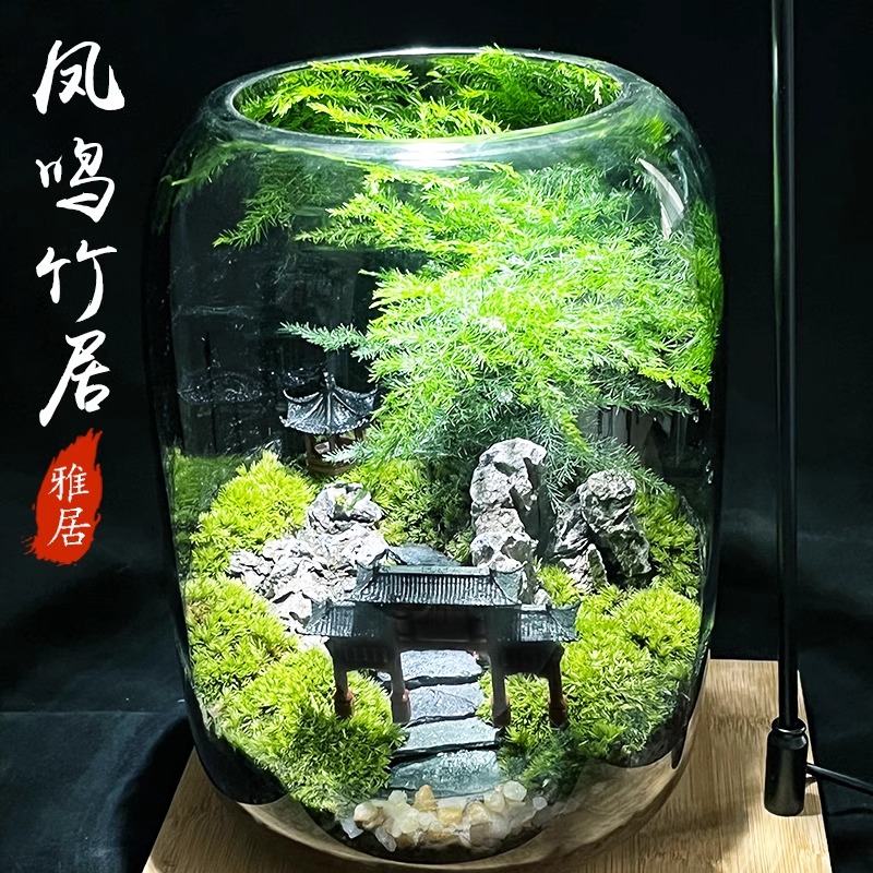 苔藓微景观生态瓶玻璃造景植物盆景办公室桌面盆栽养鱼缸装饰摆件