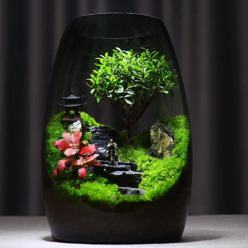 【步步高升】苔藓微景观植物盆景办公室桌面生态缸摆件绿植生态瓶