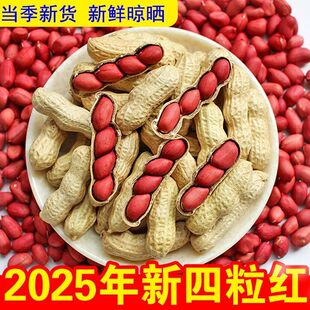 新货红皮花生新鲜带壳生花生农家自种四粒红花生 新店冲量价