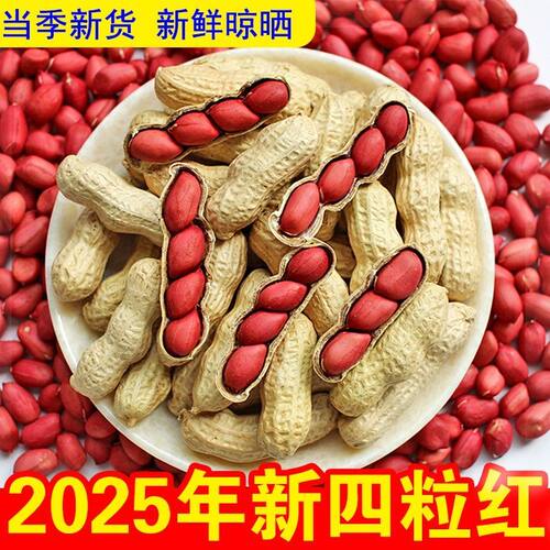 新货农家自种红皮带壳生花生