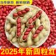 新货红皮花生新鲜带壳生花生农家自种四粒红花生 新店冲量价