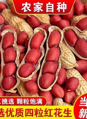 四粒红带壳红皮花生5斤2026新货新鲜干花生米红衣农家自种生花生