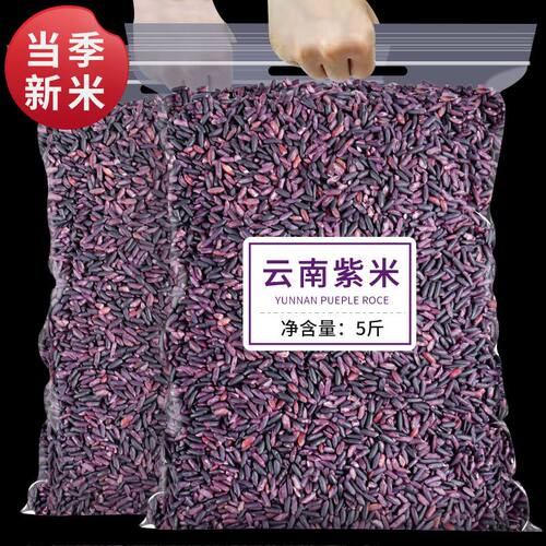 正宗墨江紫米紫糯米新米云南特产杂粮紫米饭团食用月子米煮粥粗粮