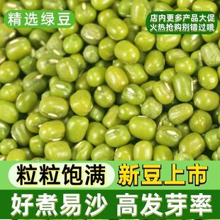 【5斤批发】东北绿豆新鲜农家绿豆可发芽颗粒饱满皮薄杂粮绿豆汤