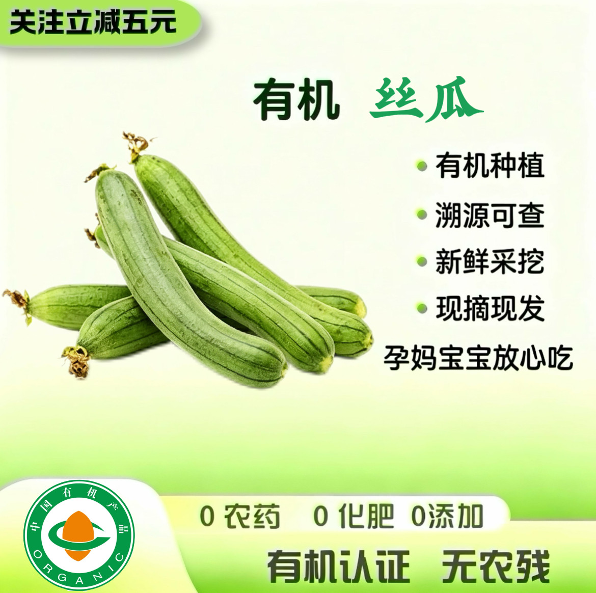 有机丝瓜 有机认证无农残宝宝孕妇新鲜采摘现摘现发 京东送货上门