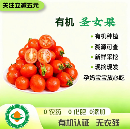 有机认证 有机圣女果/小番茄/樱桃番茄 自然熟无农残现摘酸甜可口