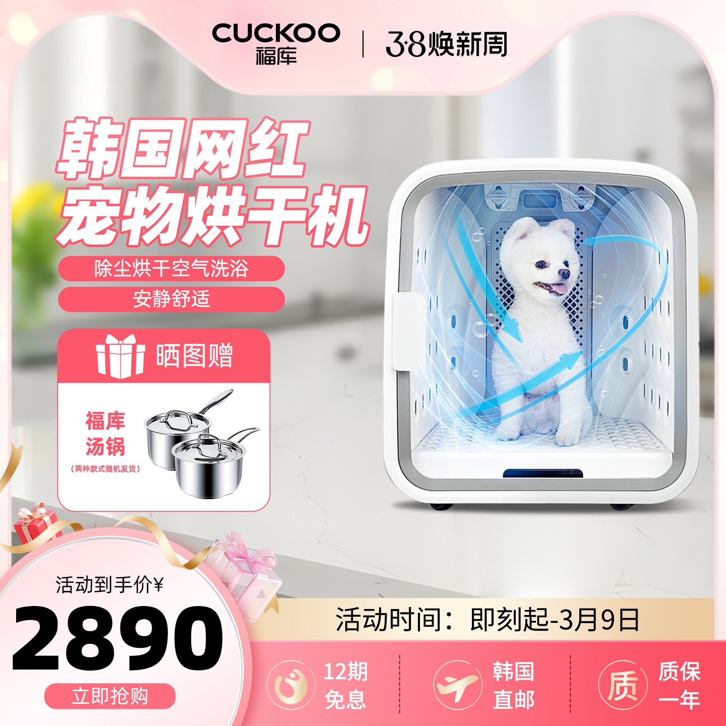 韩国福库网红宠物吹毛烘干机全自动宠物洗澡犬猫吹干机猫咪烘干箱