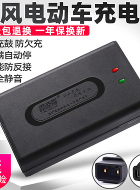 电动车充电器绿风两孔48V12AH20