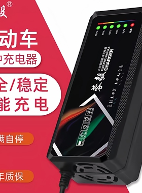 适用于金彭宗申电动车电瓶充电器48V12ah20AH60V72V30A40a50a三轮