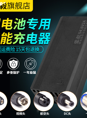 锂电池充电器62.05V48V3A4A5A2A10A滑板车独轮车哈雷电动车改装车