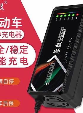适用于圣宝龙电动车充电器48v12ah60v20/30ah72v45ah电瓶车三轮车