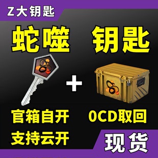 出金手套 CSGO CS2蛇噬钥匙带武器箱 皮肤欧皇 现货秒发