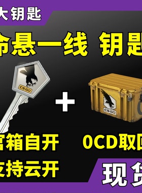 【现货秒发】命悬一线武器箱CS2钥匙 无需密码 带加箱子 CSGO