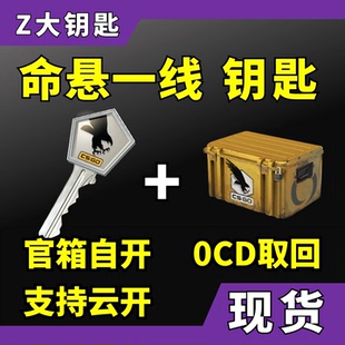 【现货秒发】命悬一线武器箱CS2钥匙 无需密码 带加箱子 CSGO