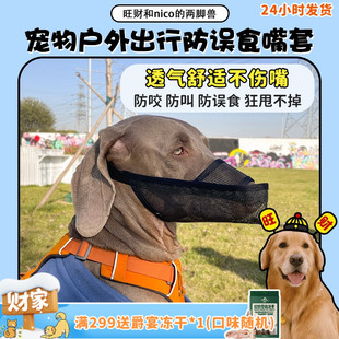 宠物狗嘴套防乱吃防乱咬误食小中大型犬户外出行口罩pvc 旺财