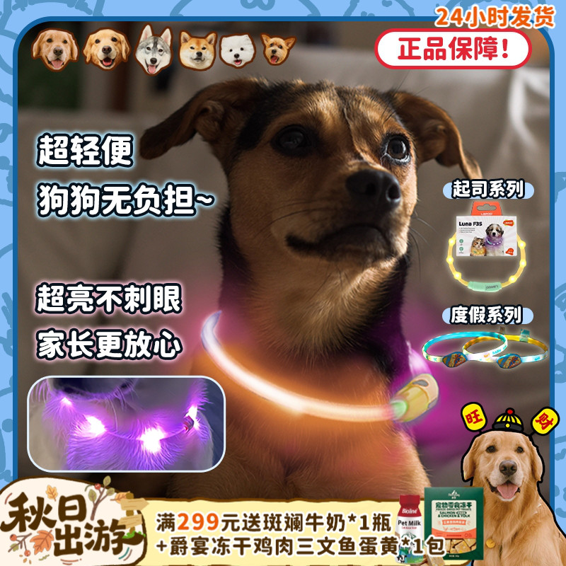 莱诺发光项圈夜间出行防走丢