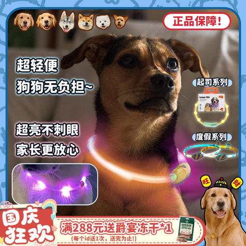 莱诺发光项圈夜间出行防走丢
