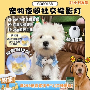 GOGOLAB狗狗社交投影灯定制狗牌夜间遛狗防走失吊坠吊牌 旺财