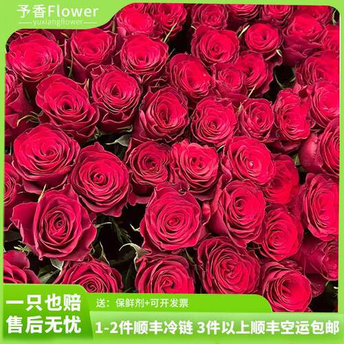 玫瑰花鲜花云南昆明基地批发红玫瑰花束水养向日葵百合鲜切花顺丰