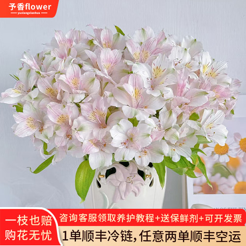 水仙百合鲜花六出花鲜切花卉插花材家用水养水培多头插瓶六初花束