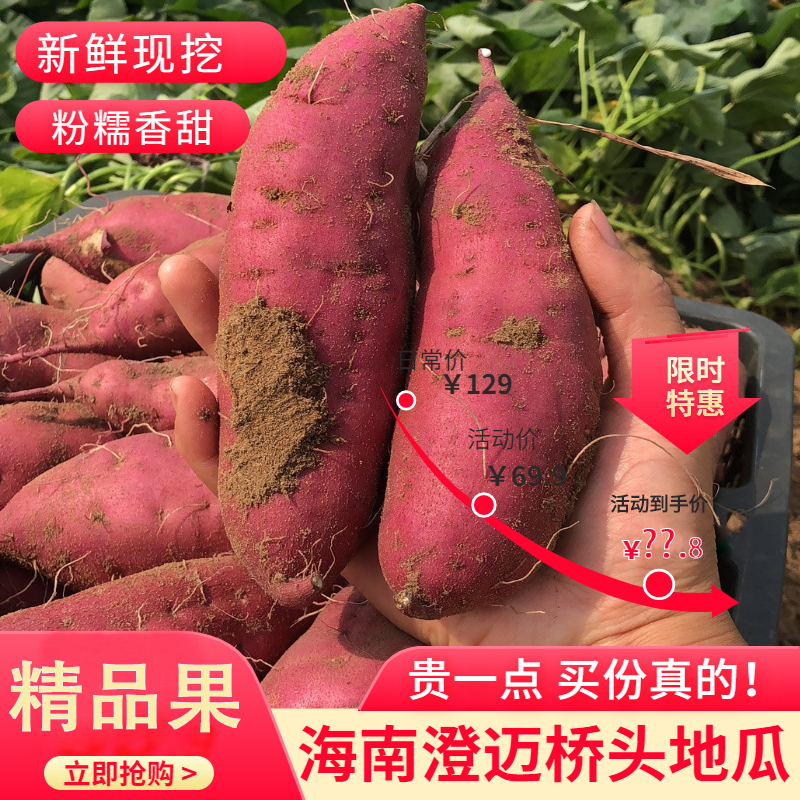 精品海南澄迈桥头富硒板栗地瓜