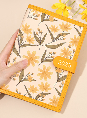 2025年日程本效率手册365天每日计画 划表周月日历记事本文艺精致