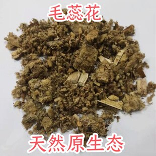 毛蕊花中药材 大毛叶毛喉鞘蕊花 干货无硫