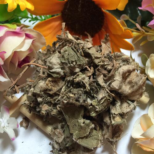 中药材肾炎草马蹄草杏香兔耳风肾炎草中草药皱叶子