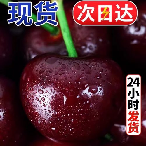 24小时内发货大连大樱桃脆甜多汁